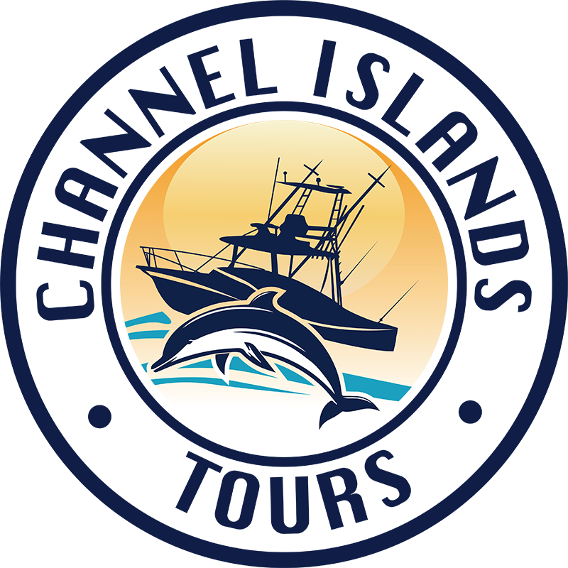 channel islands whale watching tour